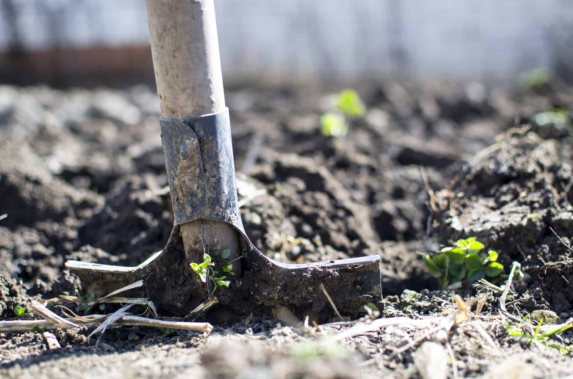 Shovel digging into soil